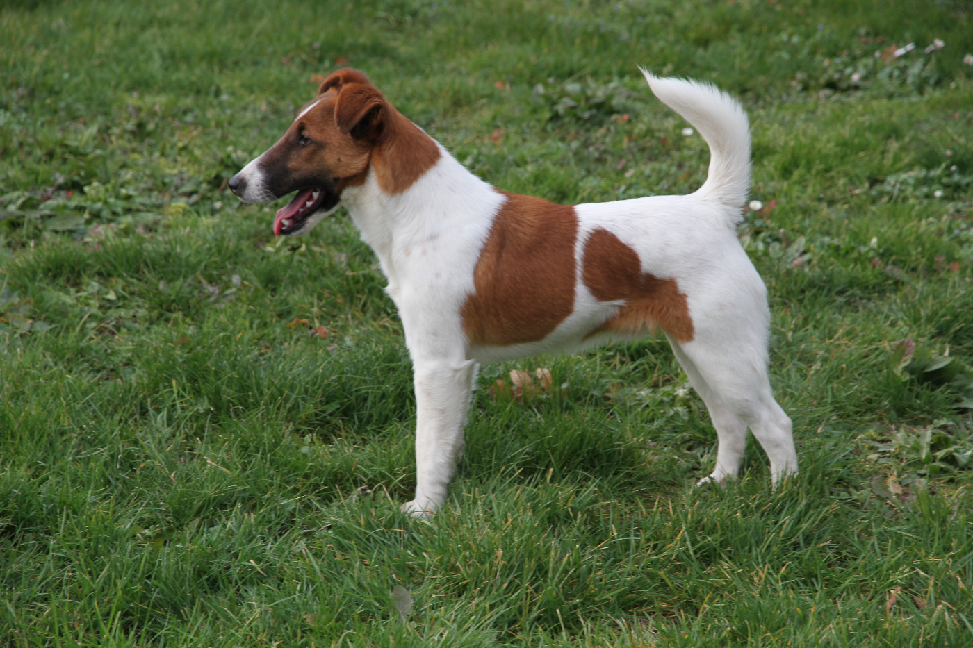 Aumega domaine des terres d'hermes