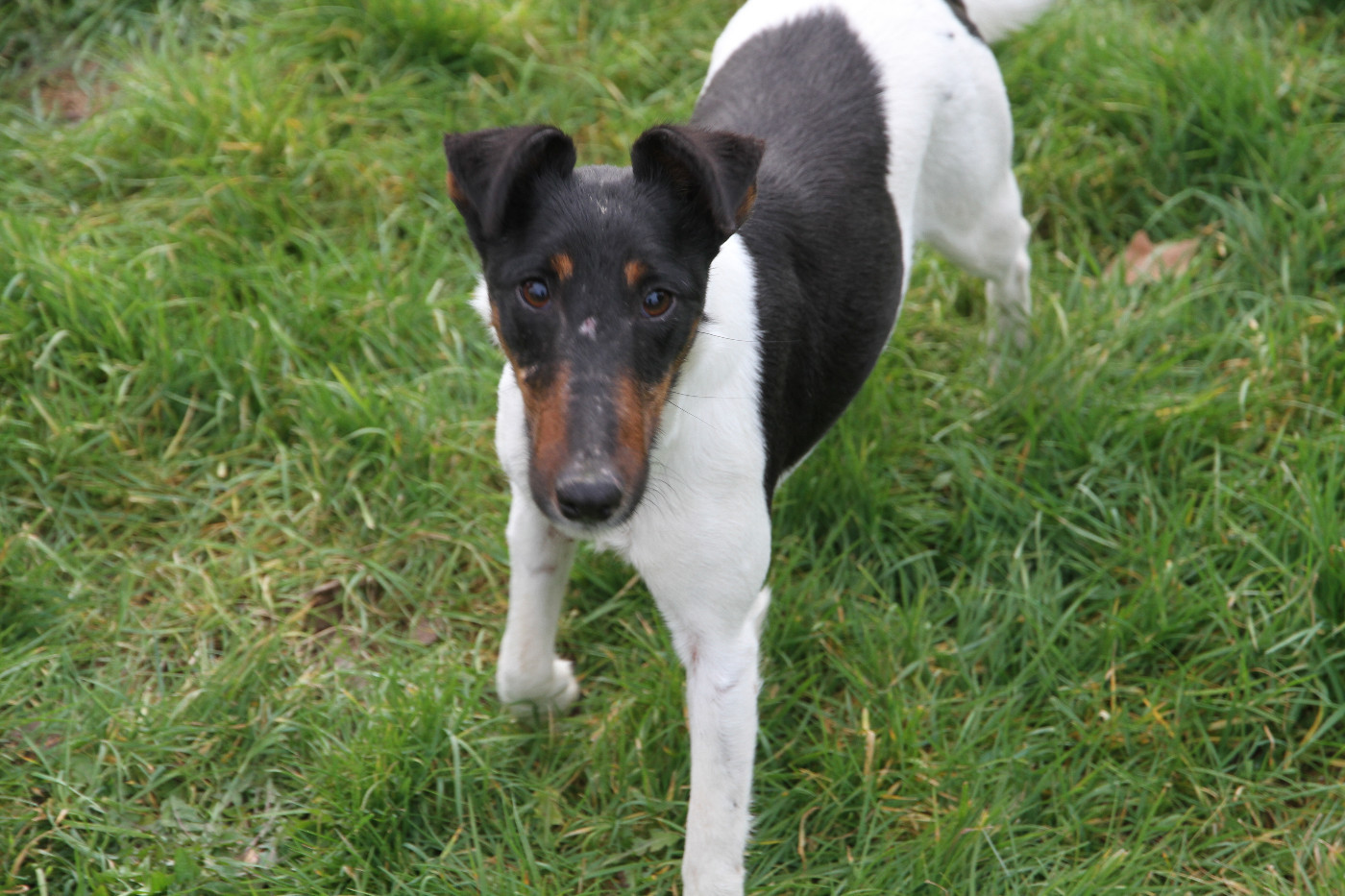 Uranie (Sans Affixe)