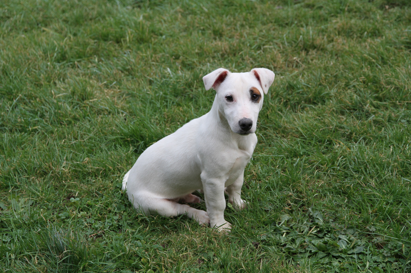 ALADIN toujours disponible